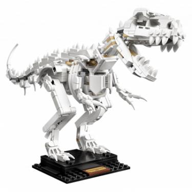 Конструктор LEGO Ideas Останки динозавра Фото 2