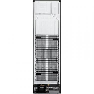 Холодильник LG GW-B509SBUM Фото 10