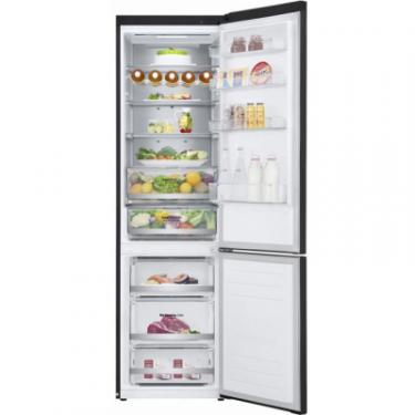 Холодильник LG GW-B509SBUM Фото 6