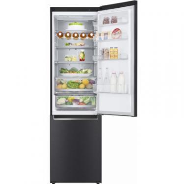 Холодильник LG GW-B509SBUM Фото 7