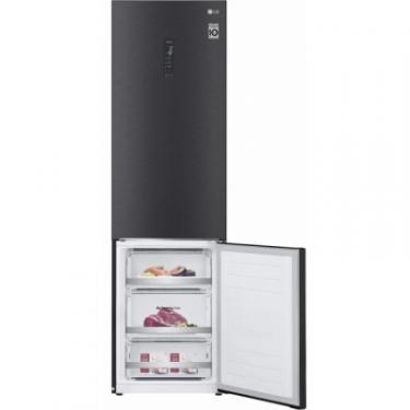 Холодильник LG GW-B509SBUM Фото 8