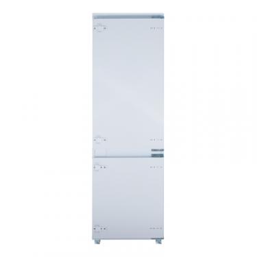 Холодильник Interline RDF770EBZWA Фото
