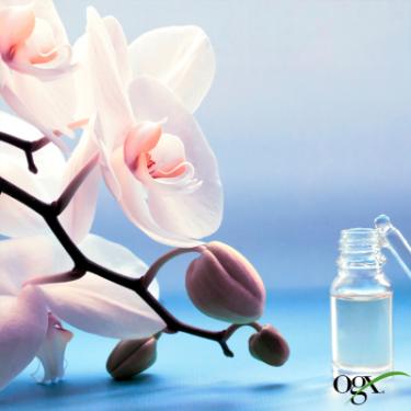 Шампунь OGX Orchid Oil для защиты цвета окрашенных волос 385 м Фото 6