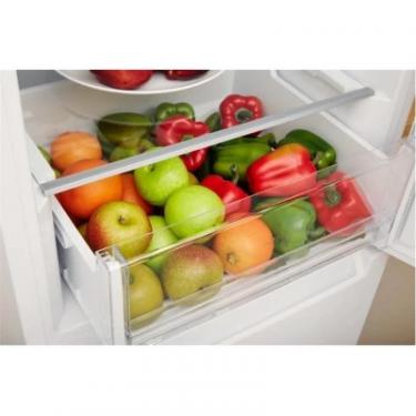 Холодильник Indesit LI8S1EW Фото 4