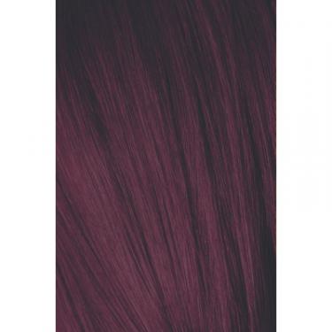Краска для волос Schwarzkopf Professional Igora Royal 5-99 60 мл Фото 1