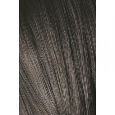 Краска для волос Schwarzkopf Professional Igora Royal 8-11 60 мл Фото 1