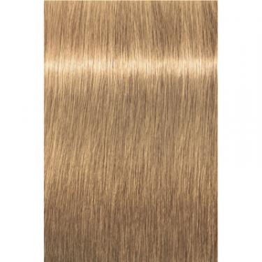 Краска для волос Schwarzkopf Professional Igora Royal Highlifts 10-46 60 мл Фото 1