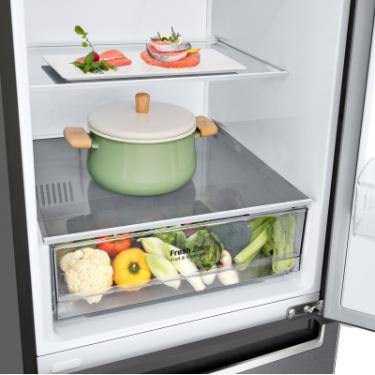 Холодильник LG GW-B509SLKM Фото 7