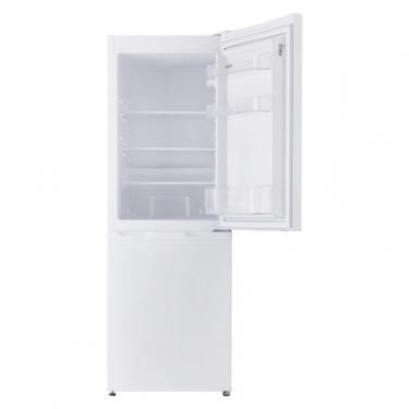 Холодильник Eleyus RLW2146MWH Фото 6