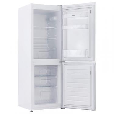 Холодильник Eleyus RLW2146MWH Фото 8