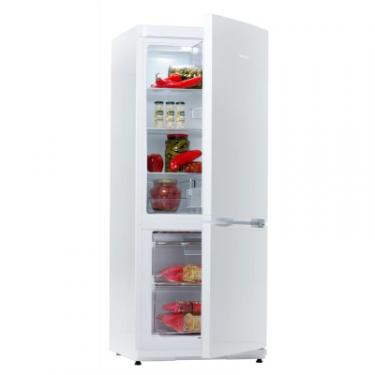 Холодильник Snaige RF27SM-P0002E Фото 1