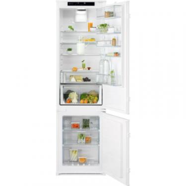 Холодильник Electrolux RNT6TE19S0 Фото
