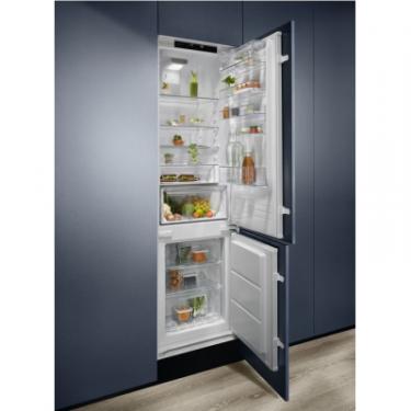 Холодильник Electrolux RNT6TE19S0 Фото 8
