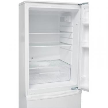 Холодильник Edler ED-227DDW Фото 5