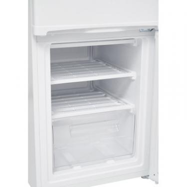 Холодильник Edler ED-227DDW Фото 8