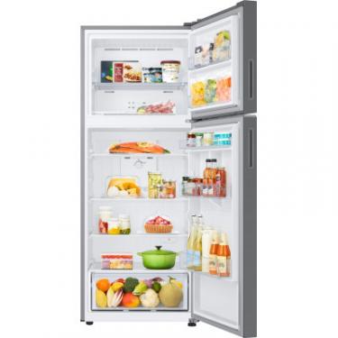 Холодильник Samsung RT42CG6000S9UA Фото 4