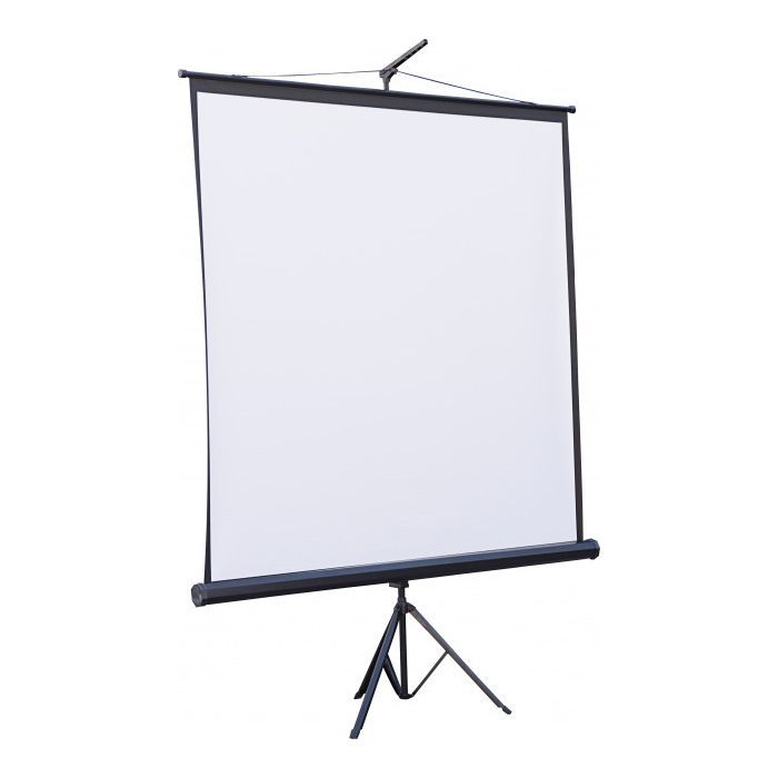 Проекционный экран Atria TRM-NTSC-100D Фото