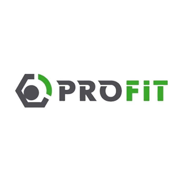 Воздушный фильтр для автомобиля Profit 1512-3083 Фото