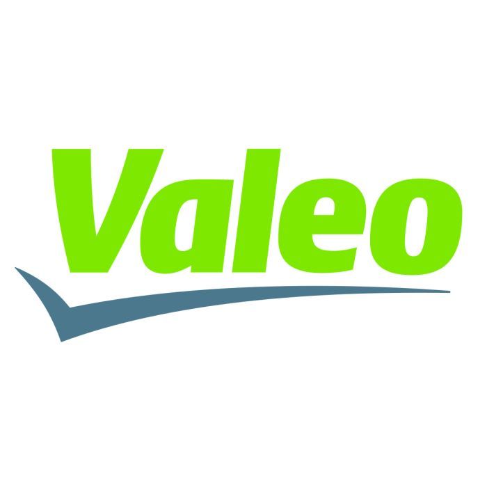 Воздушный фильтр для автомобиля Valeo 585742 Фото