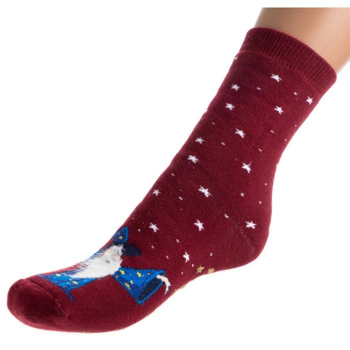 Носки детские Bross махровые с волшебником Фото