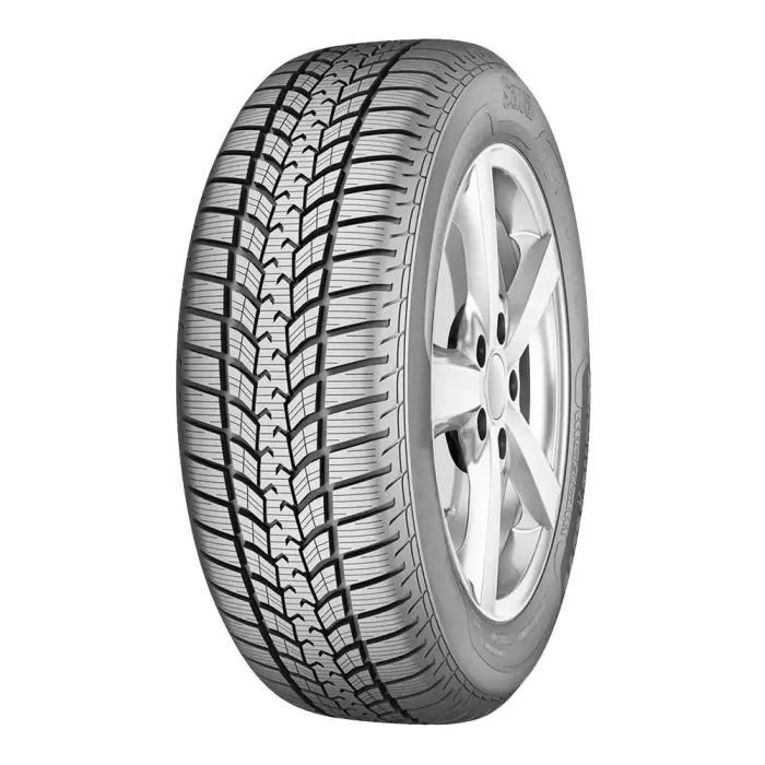 Шина Sava Eskimo HP 2 225/55R16 95H Фото