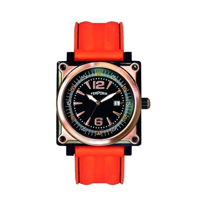 Наручные часы Temporis T017GR.02 Фото