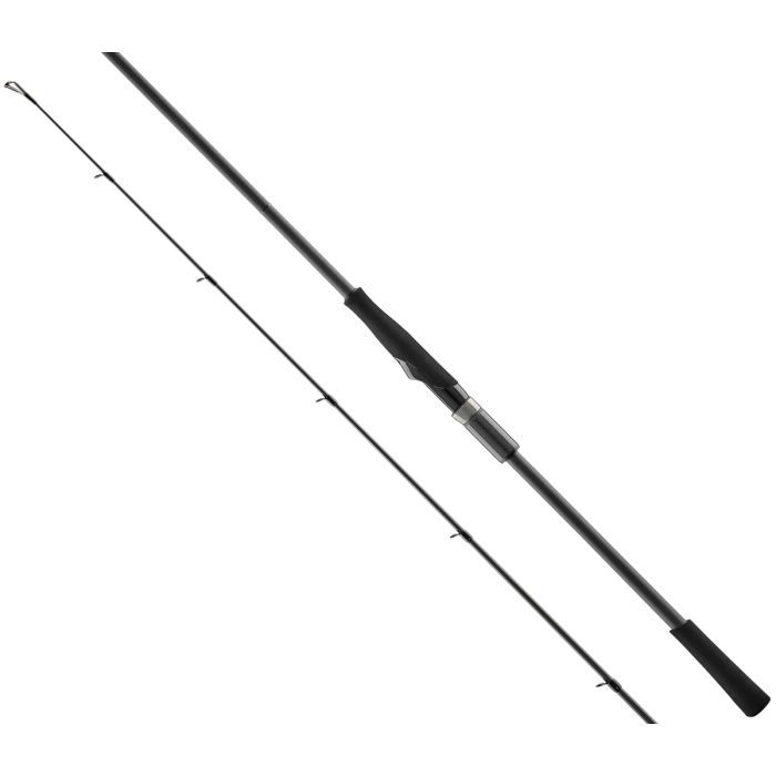 Удилище Favorite Black Swan BSWTS1-982H 2.94m 16-56g Fast Фото