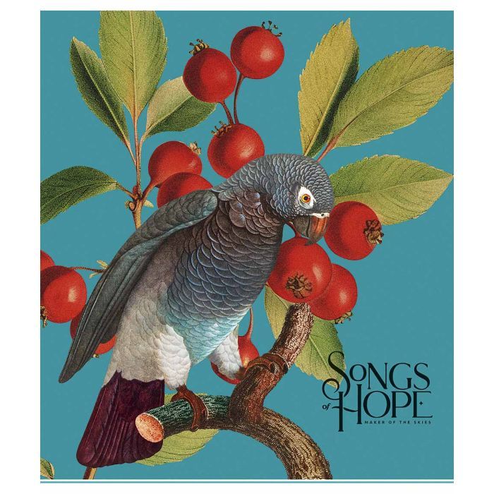 Тетрадь Школярик Birds 96 листов клетка 96 листов Фото