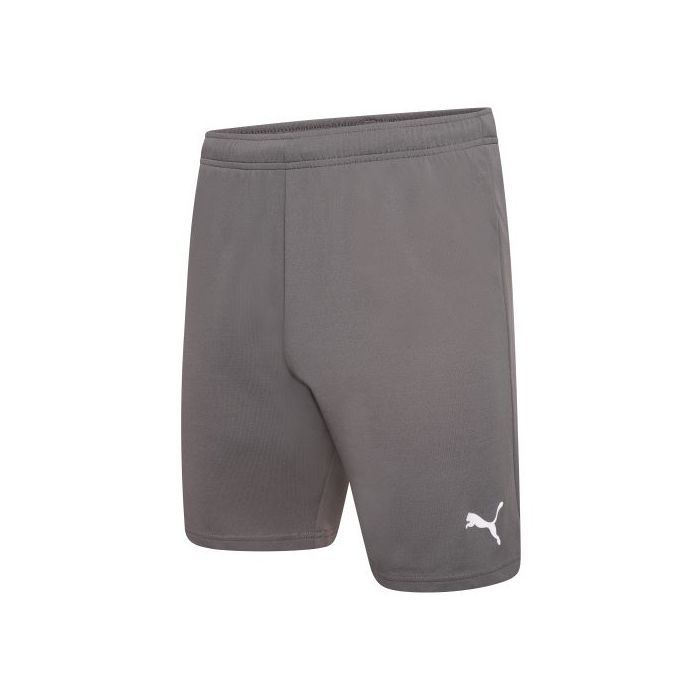 Шорты Puma teamRISE Short 704942-13 сірий M Фото
