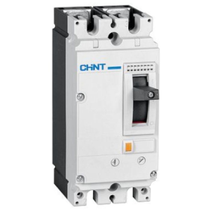 Автоматический выключатель CHINT NM8NDC-125B-DC500V-2P Фото