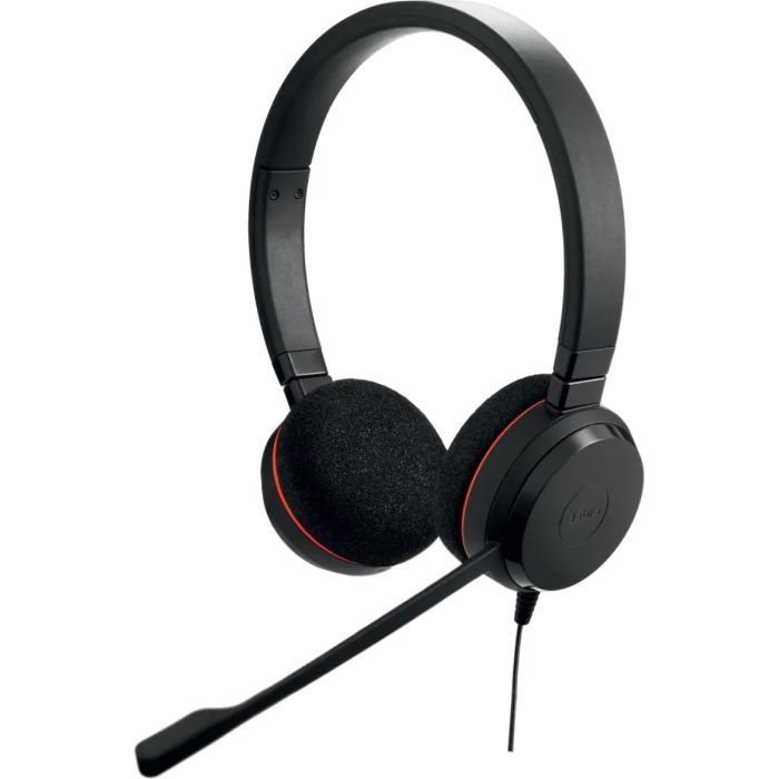 Наушники Jabra Evolve 20 MS USB-C/A Stereo Фото