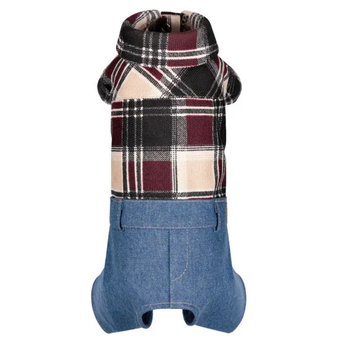 Костюм для животных Pet Fashion Dandy XS2 Фото