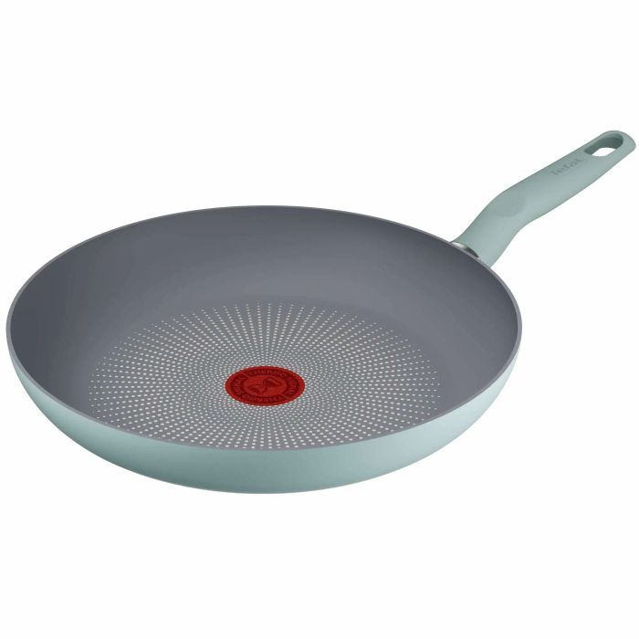Сковорода Tefal Halo EUCALYPTUS, 28см, алюміній, бакеліт, сірий Фото
